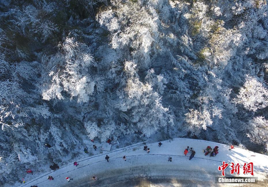 12月20日，重慶金佛山銀裝素裹雪景美如畫，吸引了不少游客前來觀賞。當(dāng)日，第19屆金佛山冰雪節(jié)正式開幕。 陳超 攝