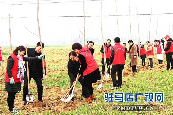  汝南縣古塔街道開展義務植樹活動