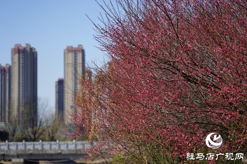 再次與自己約定，閉門不出