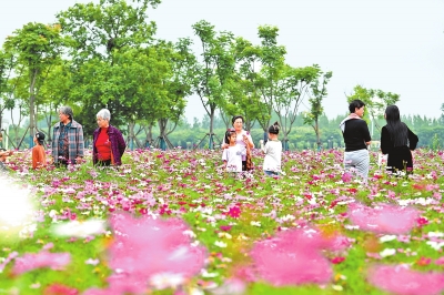 新時(shí)代 新征程 新偉業(yè)丨國(guó)際花園城市競(jìng)賽，信陽(yáng)憑啥“蟾宮折桂”