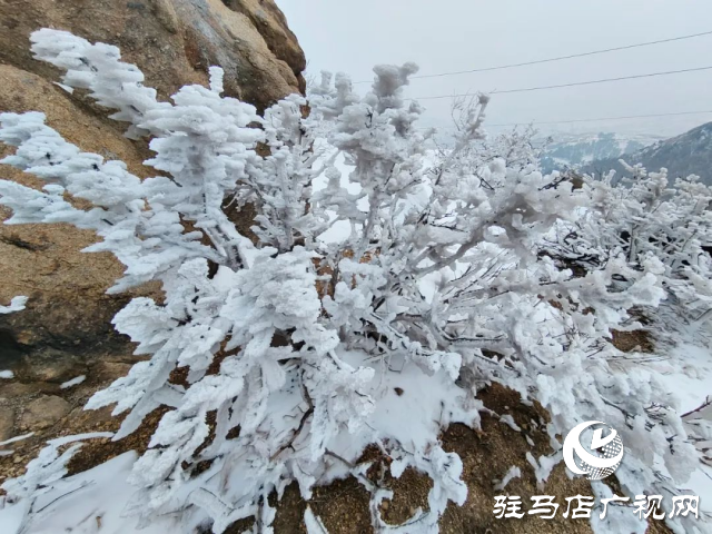 美呆了！羅漢山開啟雪凇、霧凇雙景齊現(xiàn)模式