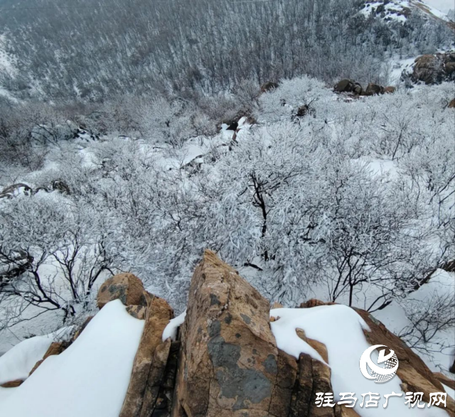 美呆了！羅漢山開啟雪凇、霧凇雙景齊現(xiàn)模式