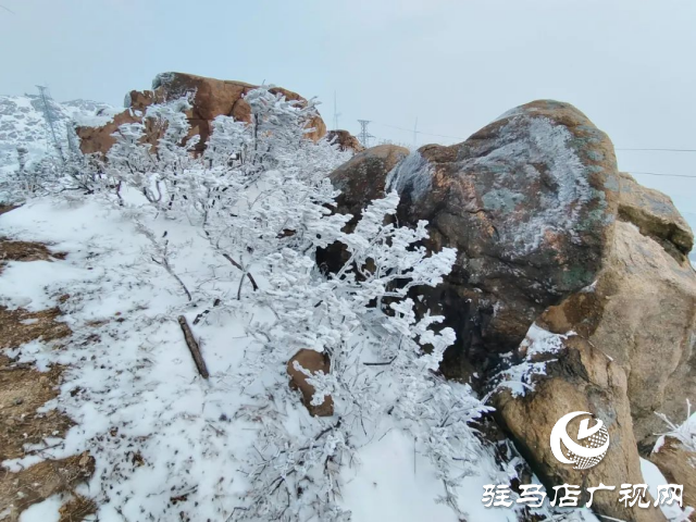 美呆了！羅漢山開啟雪凇、霧凇雙景齊現(xiàn)模式