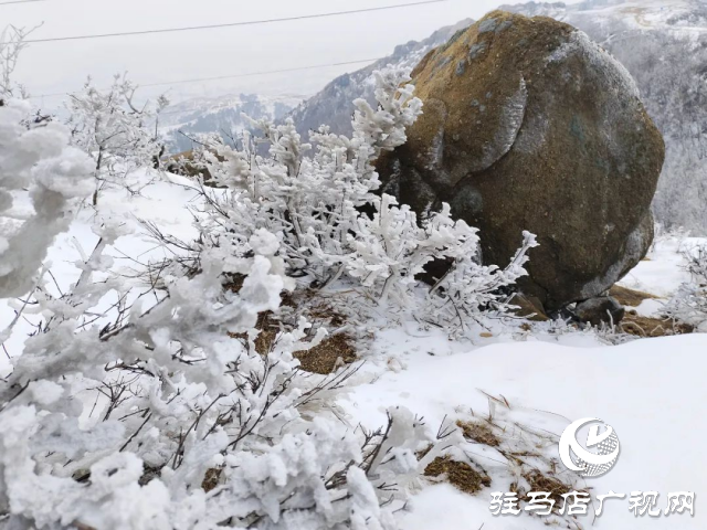 美呆了！羅漢山開啟雪凇、霧凇雙景齊現(xiàn)模式