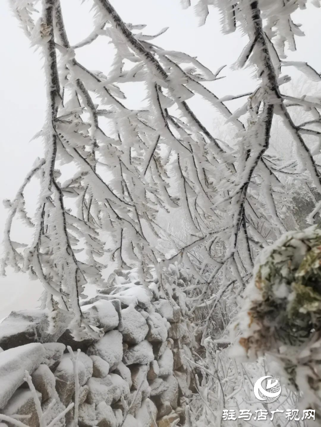 美呆了！羅漢山開啟雪凇、霧凇雙景齊現(xiàn)模式