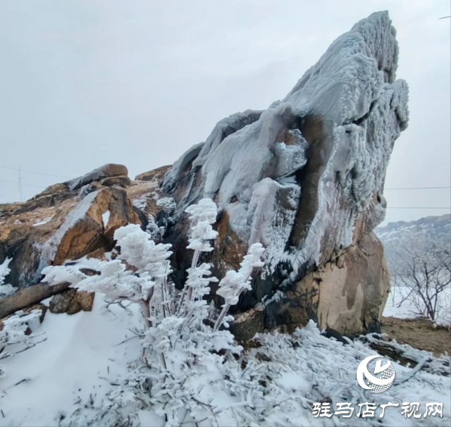 美呆了！羅漢山開啟雪凇、霧凇雙景齊現(xiàn)模式