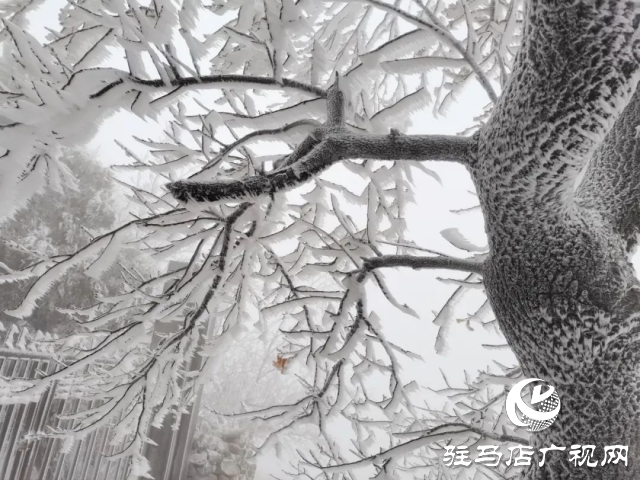 美呆了！羅漢山開啟雪凇、霧凇雙景齊現(xiàn)模式