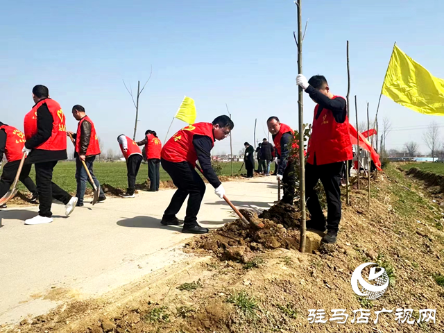 西平縣：不負春光植樹忙