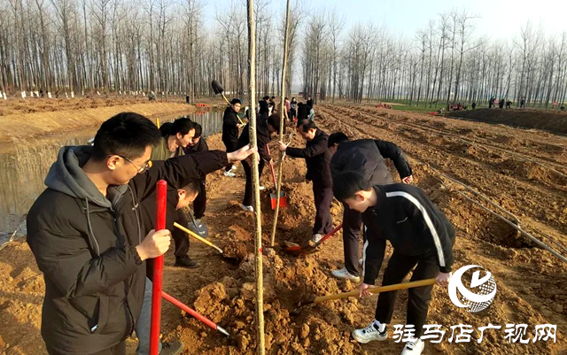 汝南縣人民檢察院開展義務植樹活動