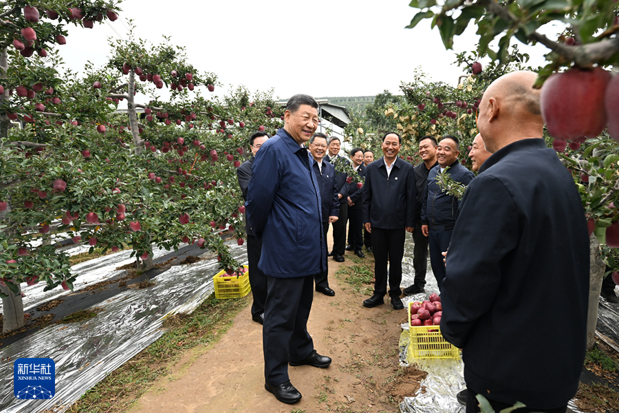 習(xí)近平在甘肅考察時(shí)強(qiáng)調(diào) 深化改革勇于創(chuàng)新苦干實(shí)干富民興隴 奮力譜寫中國(guó)式現(xiàn)代化甘肅篇章