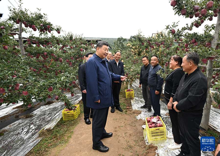 習(xí)近平在甘肅考察時(shí)強(qiáng)調(diào) 深化改革勇于創(chuàng)新苦干實(shí)干富民興隴 奮力譜寫中國(guó)式現(xiàn)代化甘肅篇章