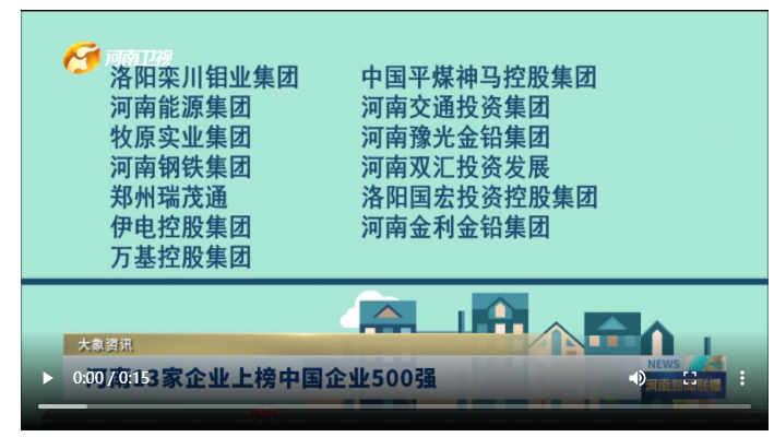 河南13家企業(yè)上榜中國企業(yè)500強