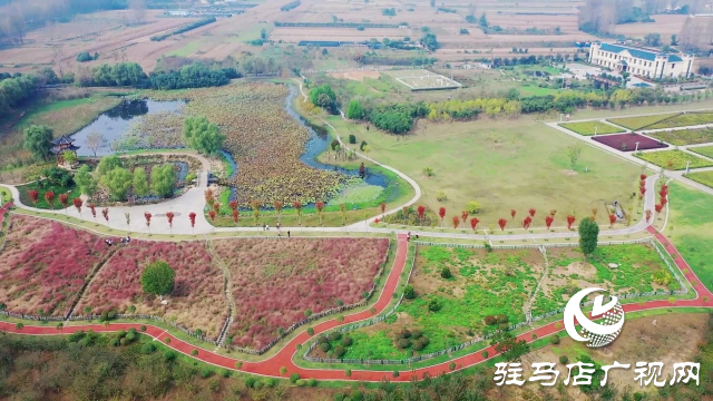 泌陽(yáng)漢風(fēng)公園，秋日里的粉色夢(mèng)境