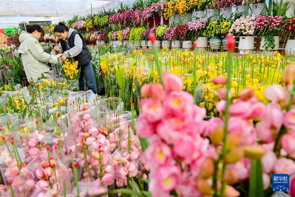 新年臨近 花卉俏銷(xiāo)