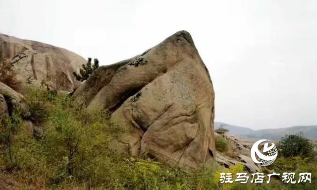 泌陽縣巖生植物園：山石秀奇觀 冬日里美如畫卷