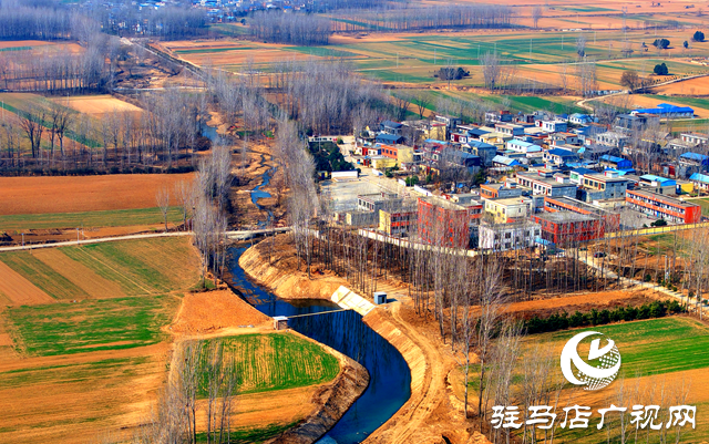 泌陽縣黃山口鄉(xiāng)：走穩(wěn)小麥“田管棋”，繪就夏收好“豐”景